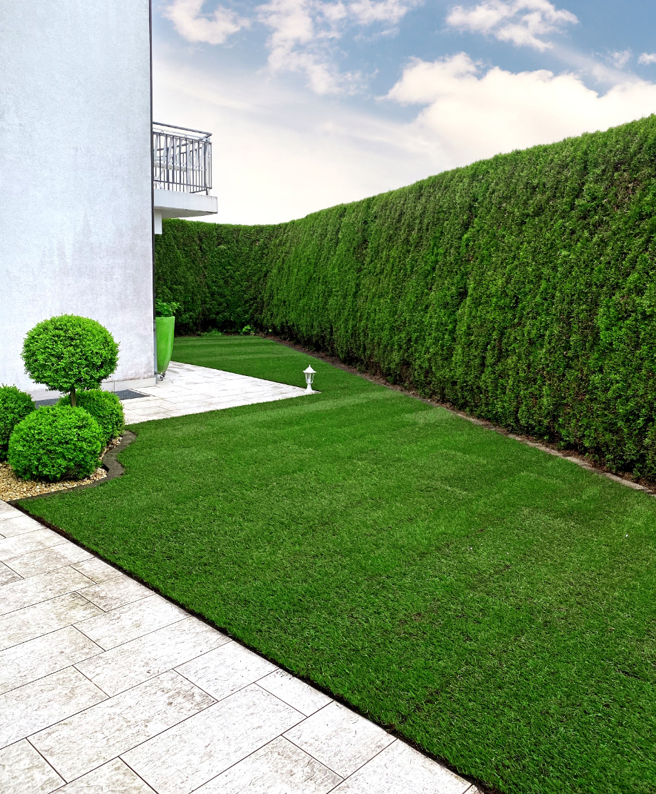 Rohrer Gartenbau