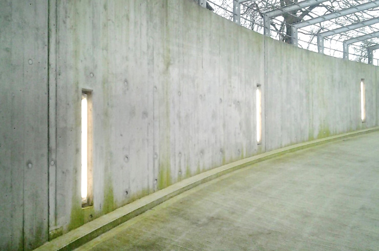 Algen- und Moosvertilger Mauer vorher