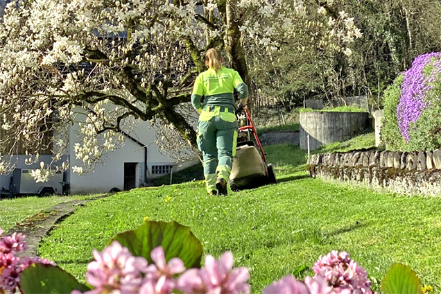 Rohrer Gartenpflege